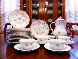 Antique Meissen Porcelain Floral Dinner and Tea Set