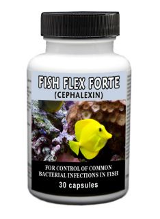 Antibiotics   Fish Flex Forte 500 mg Cephalexin   30 or 100 ct 
