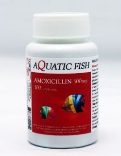 AMOXICILLIN 500mg AQUATIC FISH 100 COUNT ANTIBIOTIC 