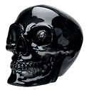 See Through Black Skull Shifter Shift Knob Custom