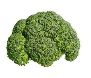 Newly listed Broccoli Florets   Bulk, Freeze Dried, Long Term Storage 