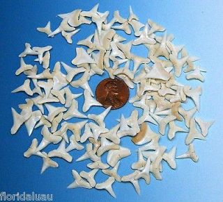   Teeth 200 pc Lot 3/8 in.   1/2 in. 9mm 12mm Shark Tooth Jaw Sticker