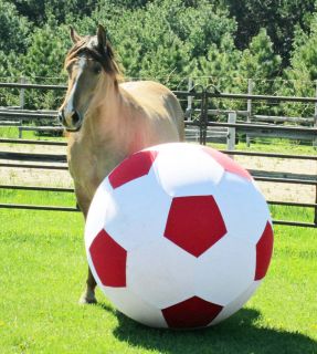 Horse Training Ball use for Parelli patterns, Lyons Purple & Black 