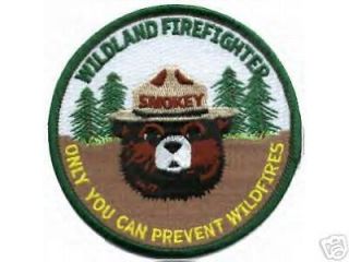 Smokey Bear WILDLAND Fire Fighter REFLECTIVE HELMET Hard Hat Decal 