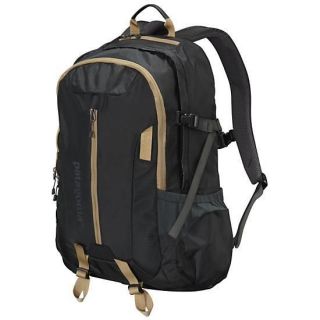 Patagonia Refugio Backpack New