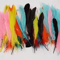 Bulk Unit 15 Grams Assorted Color Feathers for Crafts HairAccessories 