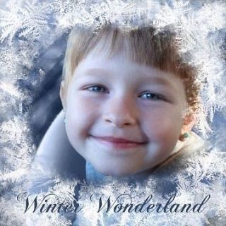 Digital photography Christmas WINTER backgrounds backdrops props