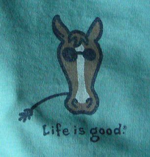 Life is good Womens Long Sleeve tee   Cool Horse   teal   New w/tags