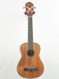 ukulele kits in String