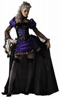 Lady in Waiting Medieval Renaissance Gothic Dress Up Halloween Adult 