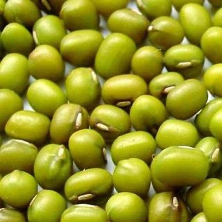 MUNG BEANS SPROUTING SEEDS & COOKING ASIAN BEANS, GROWS SPROUTS 