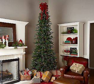   Lights Prelit 6.5 Slender Frasier Fir Christmas Tree Clear Lights