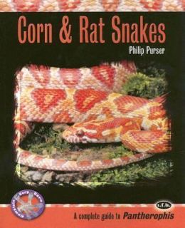 Corn and Rat Snakes A Complete Guide to Pantherophis by Philip Purser 