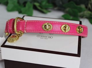 coach dog collar pink in Leather Collars