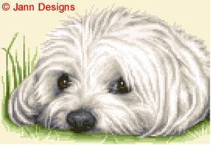 MALTESE dog complete counted cross stitch kit *STUNNING