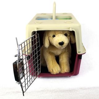 plastic dog crate in Crates