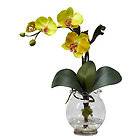   Mini Phalaenopsis w/Fluted Vase Silk Flower Arrangement Nearly Natural