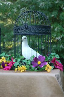 White Dove Release Decorative Ornamental Bird Cage Display