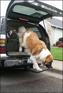 Otto Step Dog Pet Ramp SUV Pick Up Truck Van Hitch