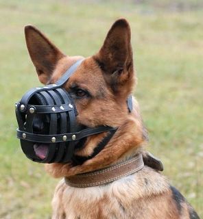 leather dog muzzle in Muzzles