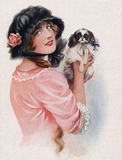 JAPANESE CHIN LADY DRESSED IN PINK DOG PRINT 8 x 10 MOUNTED READY TO 