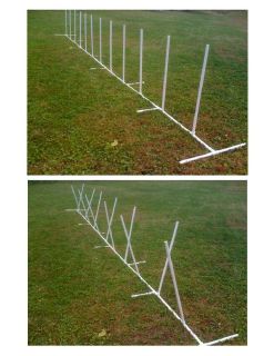 dog agility weave poles in Agility Training