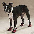 large dog shoes in Boots & Shoes