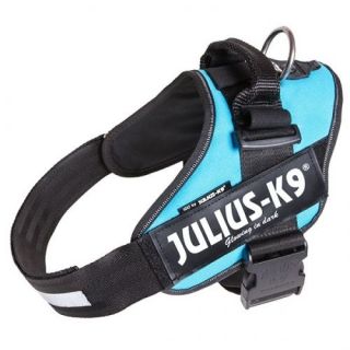no pull dog harness in Harnesses