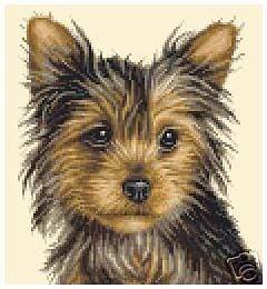 YORKSHIRE TERRIER dog   FULL counted cross stitch kit