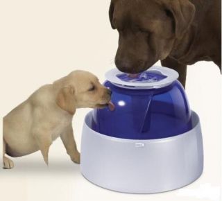 Large Hagen DogIt Pet Water DRINKING FOUNTAIN for Dogs