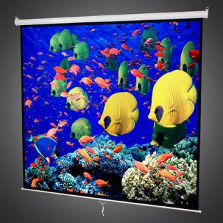 NEW 119 Manual Projector Projection Screen Pull Down Matte White 
