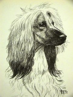 Gladys Emerson Cook AFGHAN HOUND 1962 Dog Print Matted