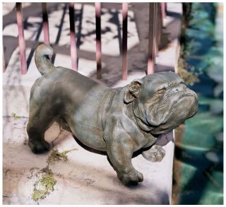   Fierce Life Size English Bulldog Realistic Dog Breed Statue Decor
