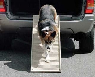 dog ramp in Ramps & Stairs