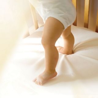 NEW. Clevamama ClevaBed Mattress Protector. Cot, CotBed and Single 