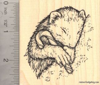 Christmas Ferret with Candy Cane Rubber Stamp ( Carmel Corn) K50205 WM