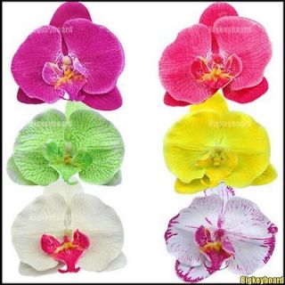 New Orchid Flower Hair Clip Bridal Hawaii Party Girl