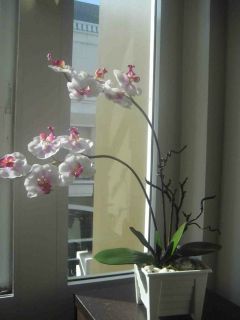 artificial flower arrangements in Home Decor