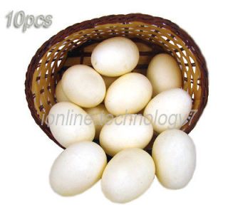 artificial eggs in Decorative Fruit & Vegetables