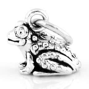 Silver Frog Pendant/Charm   Movable Legs