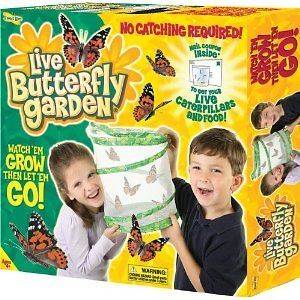 Insect Lore Butterfly Garden Live Educational Science Toy Kit FAST 