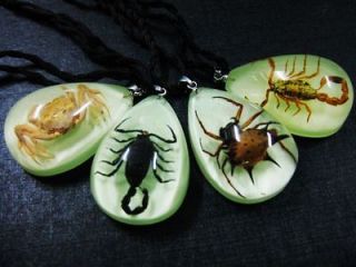 20pcs fashion insect scorpion carb angle spider light night mini 