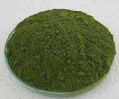 Moringa oleifera Leaf Powder (16 Ozs) HARVESTED FROM THE WILD
