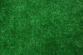 grass carpet in Rugs & Carpets