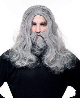 Mens Wizard Gandalf Adult Long Gray Beard Costume Wig
