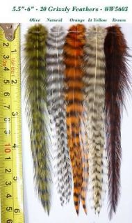 20 Whiting Grizzly Feathers for Hair Extension and Fly Tying, #5603, 5 