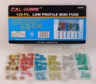 120 Car Fuse Assortment Case Set SUV Truck Motorcycle Boat APS Low 