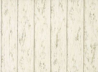 birch wallpaper in Rolls & Sheets