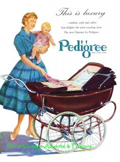 Vintage Pedigree Pram Advert 1950s A3 or A4 Reprint