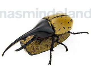 Dynastes Hercules Rhinoceros Beetle insect bug Colorata new Figure